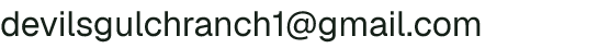 Email address for Devil's Gulch Ranch