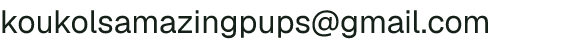 Email address for Momma's Eggs